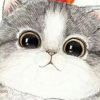 https://himg.bdimg.com/sys/portrait/item/public.1.803ab8f0.WI7lRmFXYZ3FA0f7N3ckvg