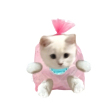 https://himg.bdimg.com/sys/portrait/item/public.1.83abdd7d.ULnUheYUe966kJbAr3MFvg