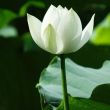 https://himg.bdimg.com/sys/portrait/item/public.1.8f43ef65.oJIKgC9reHX30EVClRHoCg