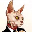 https://himg.bdimg.com/sys/portrait/item/public.1.8fd75c1b.d5H9YtzTGq-FPpaIbugl7Q
