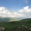 https://himg.bdimg.com/sys/portrait/item/public.1.91f598f3.cP7muWGgSwsQDshMIGpEHA
