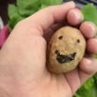 https://himg.bdimg.com/sys/portrait/item/public.1.97ba2778.wbutuhNxxiHLj3e5-YquuQ