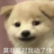 https://himg.bdimg.com/sys/portrait/item/public.1.99ea8434.FB6QRcQr2uhlt53LBpDLCg