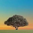 https://himg.bdimg.com/sys/portrait/item/public.1.9b9c4449.yzmYs9uHN_Lmaja-qpbC-w