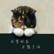 https://himg.bdimg.com/sys/portrait/item/public.1.9bb1e75d.oz4GIaTDdyqgh6IZpXOQpg
