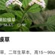 https://himg.bdimg.com/sys/portrait/item/public.1.9d329ab0.e-jCWsM0voSUHty8Of6SXQ