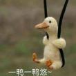 https://himg.bdimg.com/sys/portrait/item/public.1.9ddee6fa.jrZNL_SfH1oSRvxdfs4MpQ