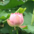 https://himg.bdimg.com/sys/portrait/item/public.1.9e16e439.PRNKsiXuiWhPY9HbZxtMzQ