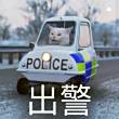 https://himg.bdimg.com/sys/portrait/item/public.1.9eba6cf4.bTyrSxC_-G6P8erYJ3pLAQ