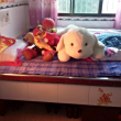 https://himg.bdimg.com/sys/portrait/item/public.1.9f60f656.PobhU_OiXSC24YOOGvlmHQ