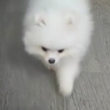 https://himg.bdimg.com/sys/portrait/item/public.1.a019d979.AJr9PLStWweYRQ1Kn3weKA