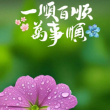 https://himg.bdimg.com/sys/portrait/item/public.1.a1f7ff73.79OtYtNK5YMFOKIfs81BXw