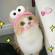 二三都行