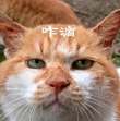https://himg.bdimg.com/sys/portrait/item/public.1.aa85190.FeWYUMpm1d8ioCS79COhbg