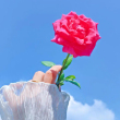 https://himg.bdimg.com/sys/portrait/item/public.1.b1baa1e0.qbRd_fLkiDFTZIc7u6Dd0A