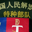 https://himg.bdimg.com/sys/portrait/item/public.1.b6a7d31e.pWJRPgfmYTGDryFYFCTBaw
