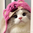 https://himg.bdimg.com/sys/portrait/item/public.1.b6ce479a.Xo-ejqWgROpSKY7wterCrA