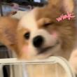 https://himg.bdimg.com/sys/portrait/item/public.1.ba04319c.vEkNEMYAG4WwJa4sByBOFA