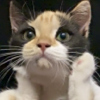 https://himg.bdimg.com/sys/portrait/item/public.1.c0f91eb9.1peO8wwOWu_EFmio_pF6AA