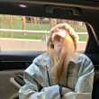 https://himg.bdimg.com/sys/portrait/item/public.1.dc429ec9.0BXAJhuyIJpU8wFlDU832A