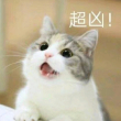 https://himg.bdimg.com/sys/portrait/item/public.1.dd0f2150.eK9PugvZLzTmN_1yrdtEhA