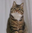 Oscar_lizixi