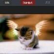 霁*之年