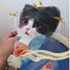 https://himg.bdimg.com/sys/portrait/item/public.1.eb5cc5bf.Js1CM3tQI4vs2oXqqcH7Qw