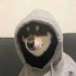 https://himg.bdimg.com/sys/portrait/item/public.1.f10a56a5.TnDw7n4yF1cRpaWz7hTVYQ