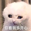 https://himg.bdimg.com/sys/portrait/item/public.1.f2014f1.cR1XrgE7eItbCJuypi7c1w