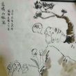 月亮大大大