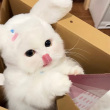 https://himg.bdimg.com/sys/portrait/item/public.1.f907762e.FSBtD1dLNgXyGJbyn4P97w