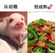 https://himg.bdimg.com/sys/portrait/item/public.1.fd639043.Qe7VJXc_SIXbzUcrE4yCDg