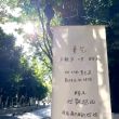 百度用户UID7112282032 古眉妖娆滑板 纯色蓝子 的头像