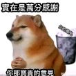 百度用户UID461900984 297110247 mo鱼 的头像