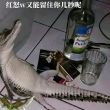 百度用户UID1256251208 Fearless小狼猫 西风几时来✨ 的头像
