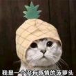 百度用户UID3565728133 樱桃子888888 null 的头像