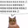 百度用户UID2044676255 矢准姬 哈基米吉米哈 的头像