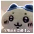 百度用户UID2272868432 不留遗憾的小猪 想要大吃特吃 的头像
