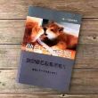 百度用户UID1096735478 null 靓仔不打波。 的头像