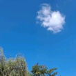百度用户UID3002663034 yansy0637乐园 null 的头像