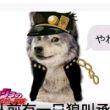 百度用户UID3298162266 罹l6920 呀嘞呀嘞◎º 的头像