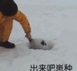 百度用户UID836327532 七的第八块奶酪 远日点º 的头像
