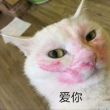百度用户UID753602333 噗噗和嘤嘤 帝王天下第一♂ 的头像
