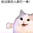 百度用户UID500748060 接接接接接接1 云间月🌱 的头像