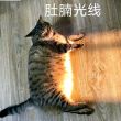 百度用户UID4925254555 cdadb null 的头像