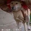百度用户UID6568475962 ghpy100 xzyxop 的头像
