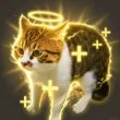 百度用户UID6670568223 null 贴吧用户_JJK2WEC 的头像