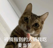 百度用户UID1330586717 sf的小猫 小儿👦消食片 的头像