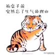 百度用户UID1713369047 秀色小萌新 混混💨🌵🌳🌴🌿 的头像